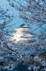 91丨porny丨国产麻豆-探寻国产麻豆的多元魅力，一道别具一格的艺术风景线